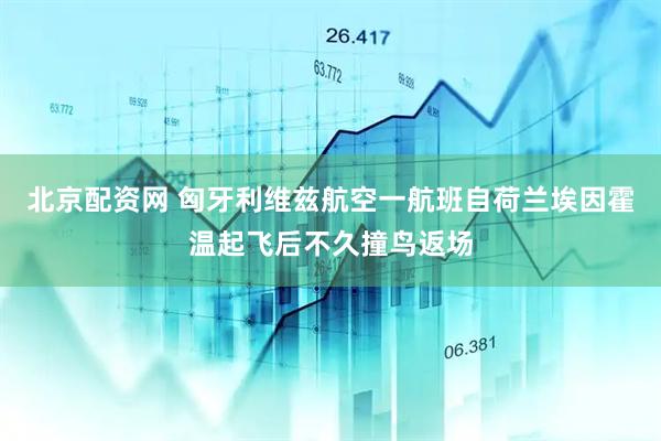 北京配资网 匈牙利维兹航空一航班自荷兰埃因霍温起飞后不久撞鸟返场