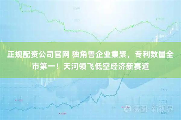 正规配资公司官网 独角兽企业集聚，专利数量全市第一！天河领飞低空经济新赛道
