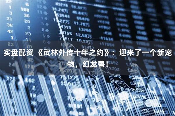 实盘配资 《武林外传十年之约》：迎来了一个新宠物，幻龙兽！